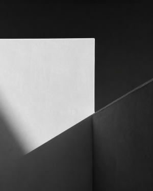 Shadow Geometry